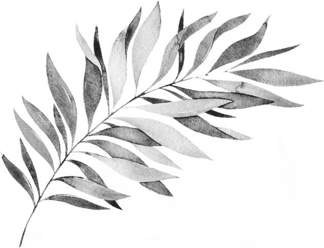 background leaf left