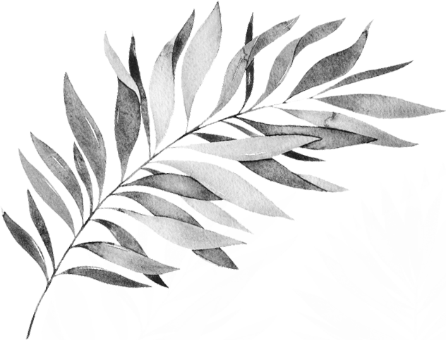 background leaf left