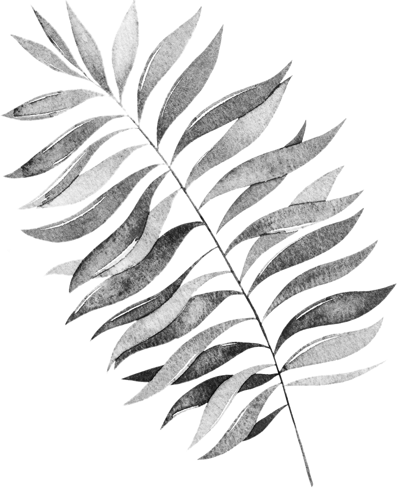 background leaf right