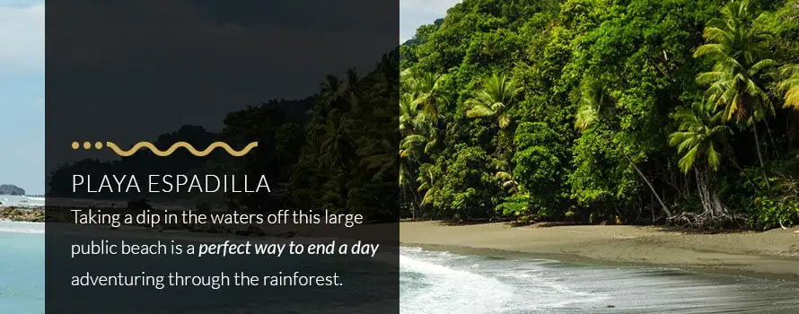 Playa Espadilla Manuel Antonio Beach