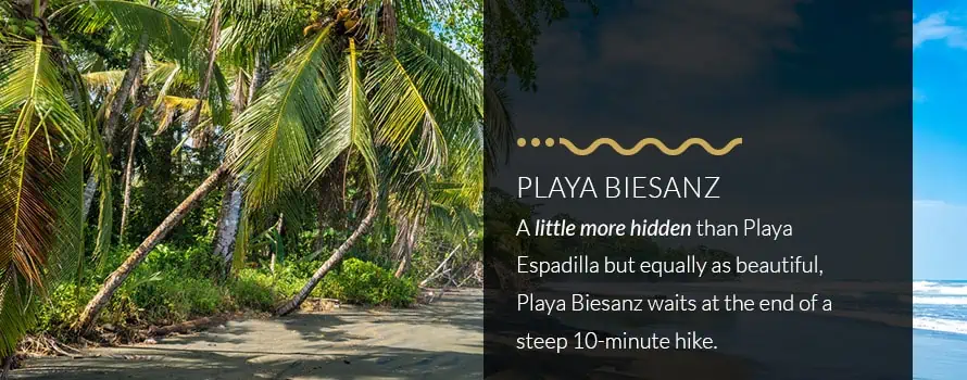Playa Biesanz Beach in Manuel Antonio Hidden at End of Steep 10-Minute Hike