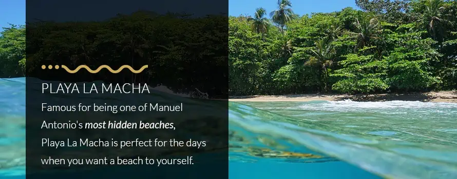 Playa La Macha One of Manuel Antonio Costa Rica's Most Hidden Beaches
