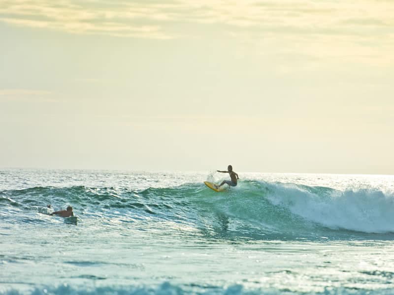 Waves & Surfing