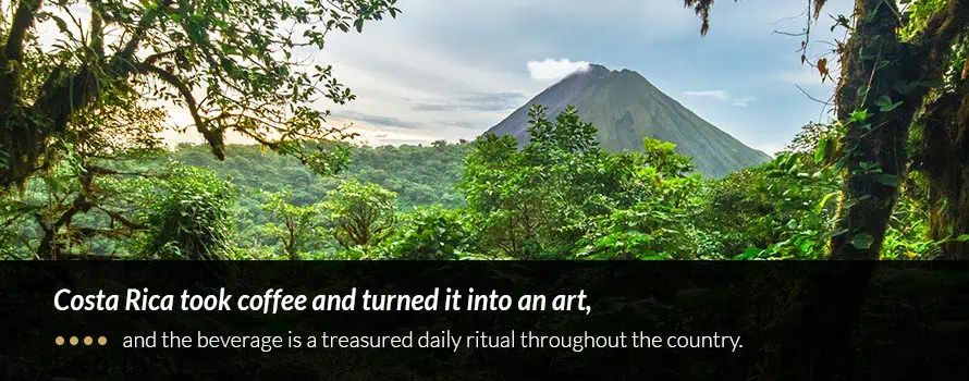 History of Costa Rican Coffee
