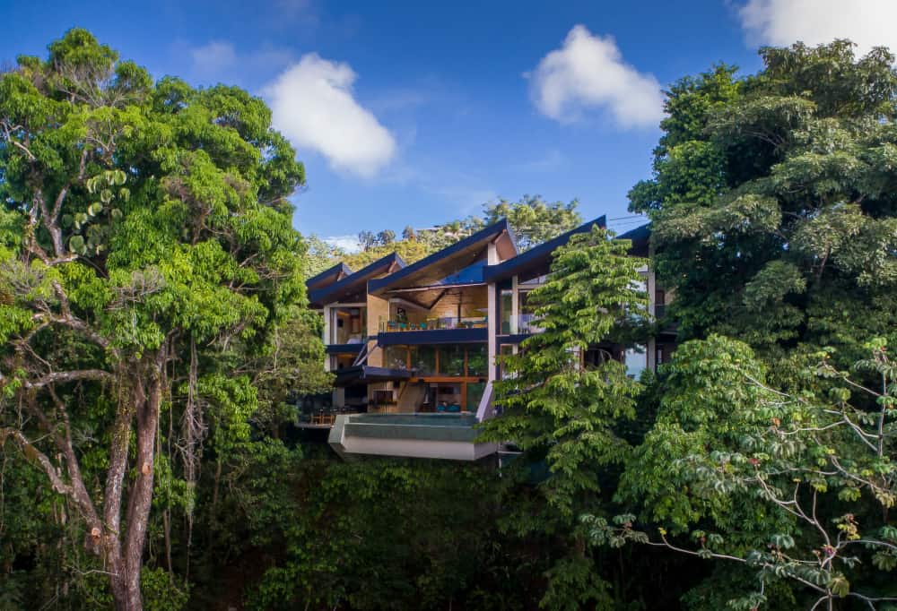 jungle villa view