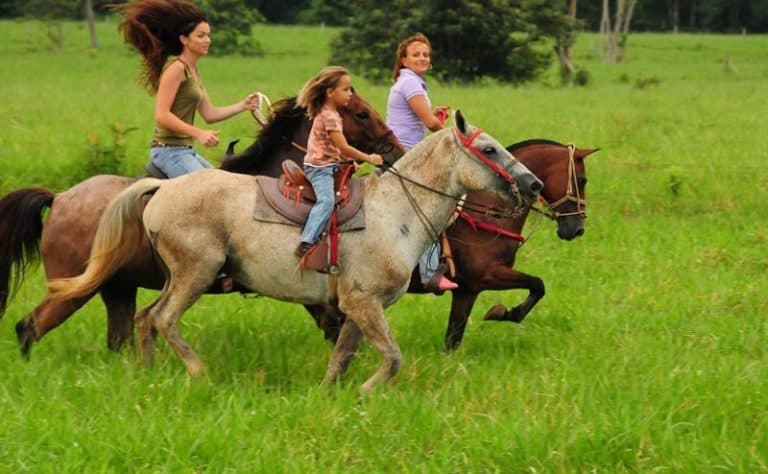 Horseback Riding