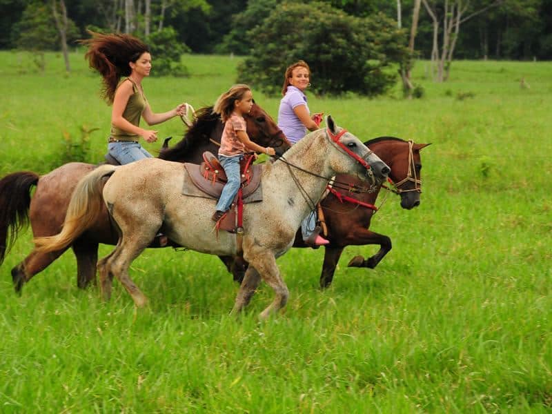 Horseback Riding