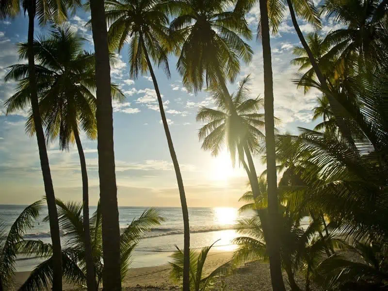 Beaches