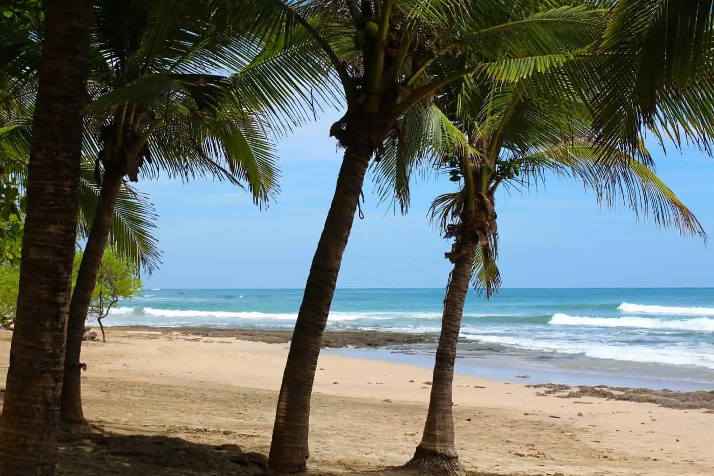 Beaches
