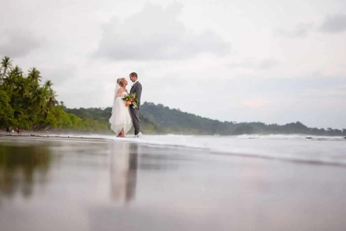 Beach & Rainforest