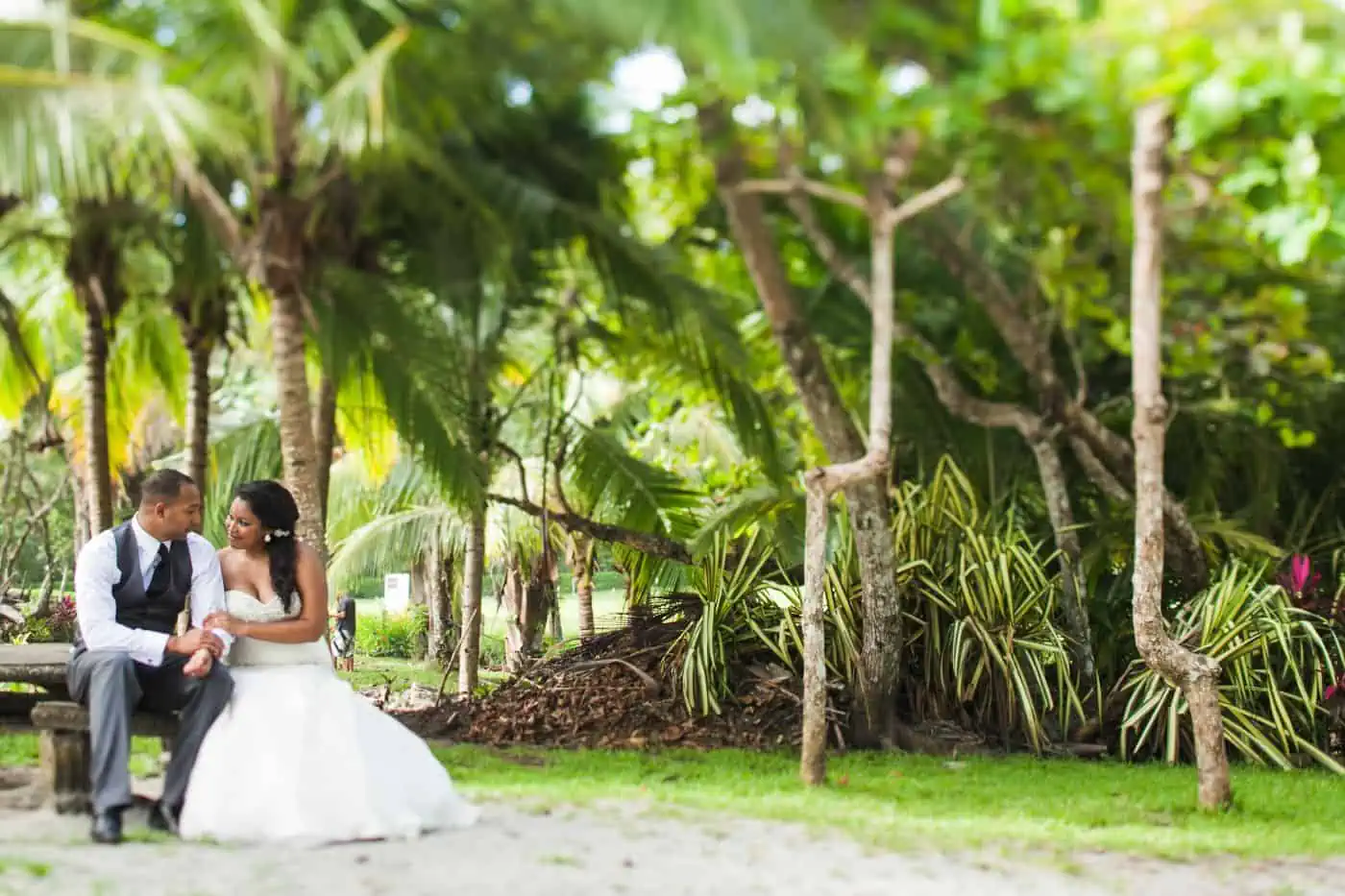 Beach & Rainforest