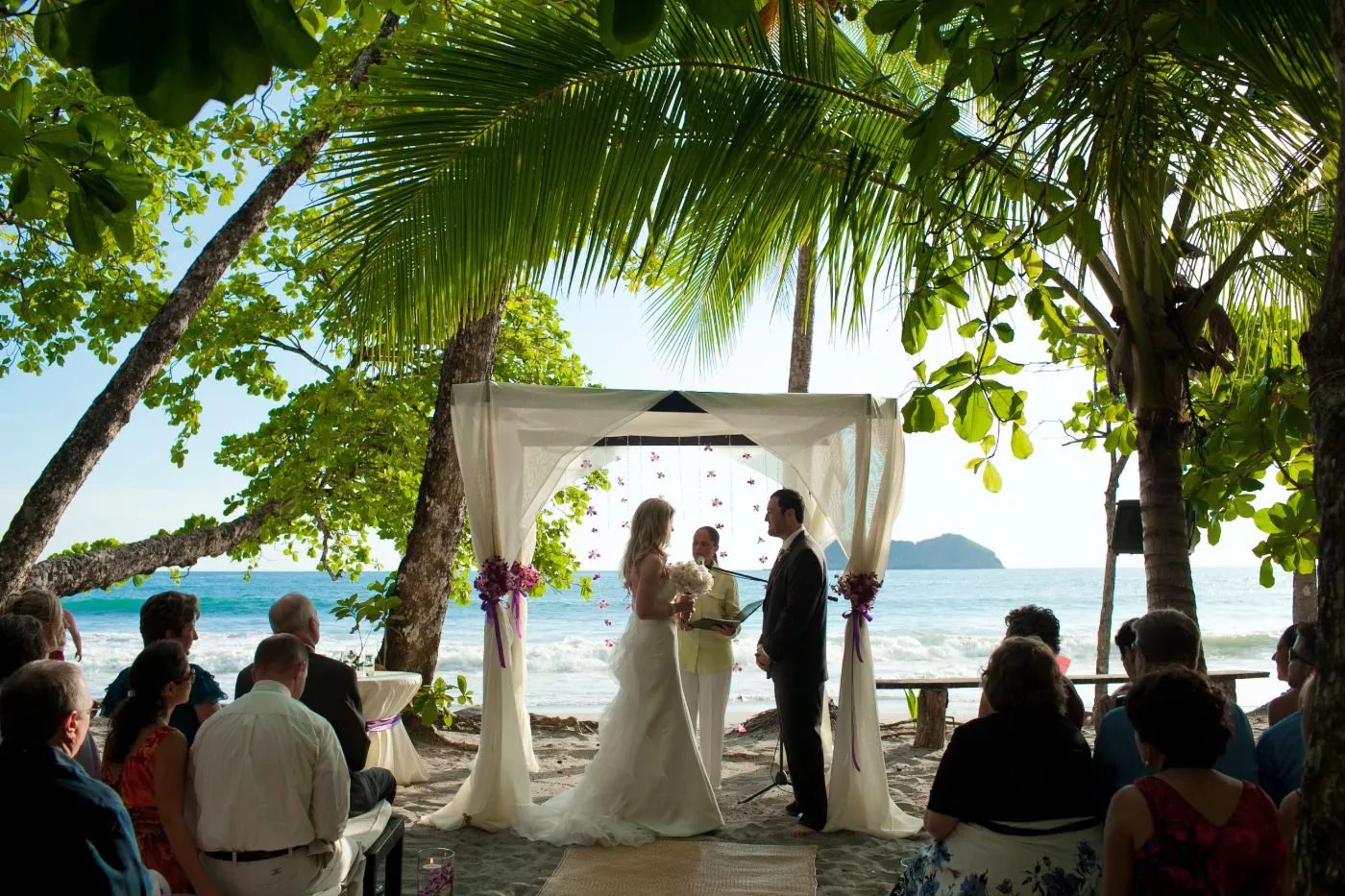 Beach & Rainforest