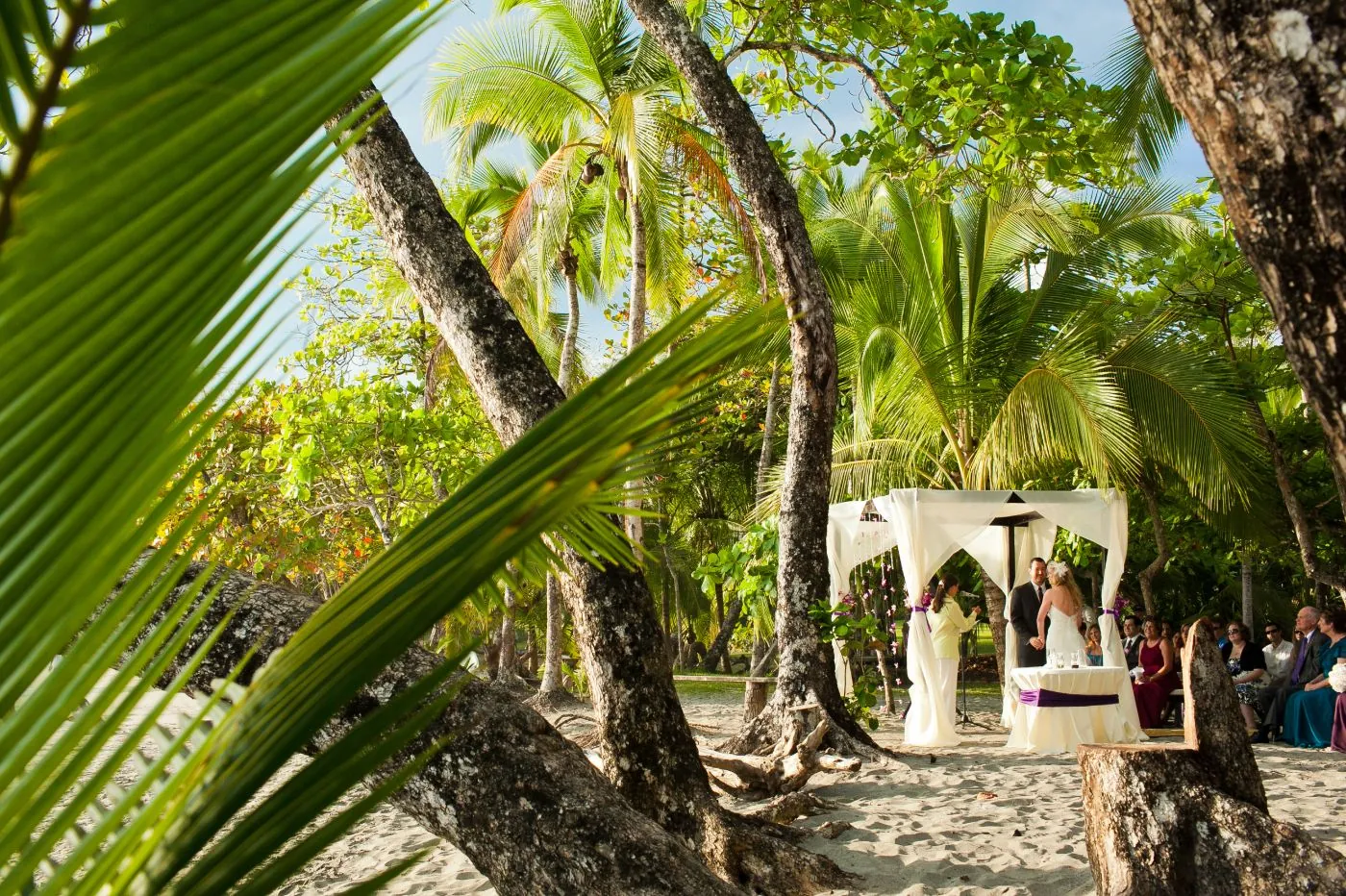 Beach & Rainforest