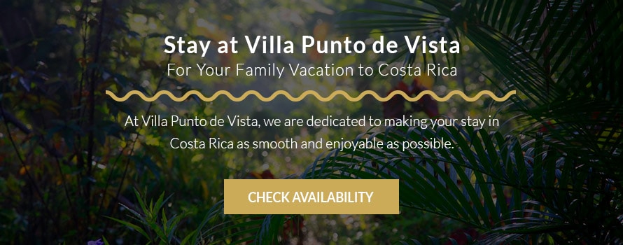 Stay at Villa Pundo de Vista