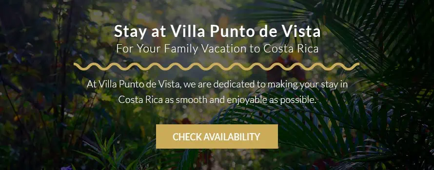 Stay at Villa Pundo de Vista