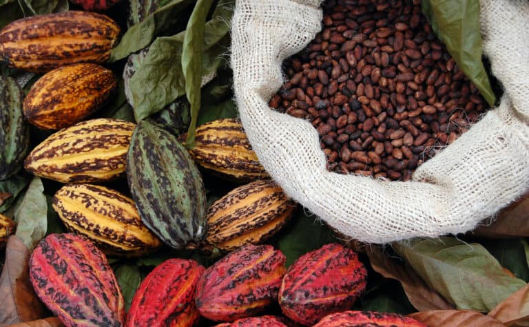 spice farm tours in costa rica