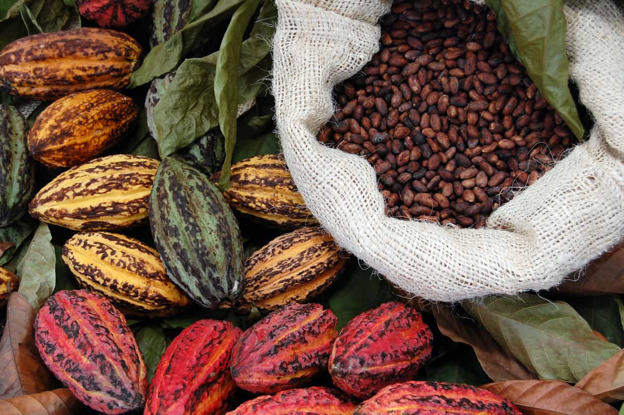 spice farm tours in costa rica