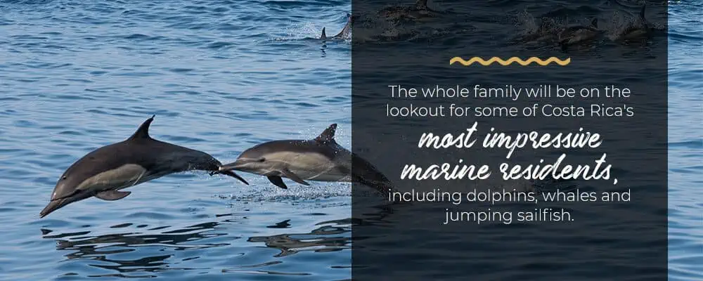 impressive-marine-residents