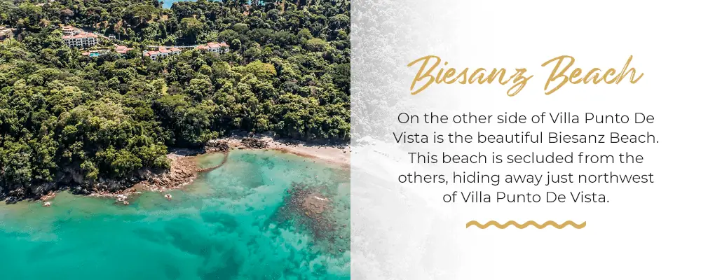 Biesanz-Beach