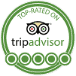Trip Advisor Logo
