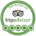 Trip Advisor Logo