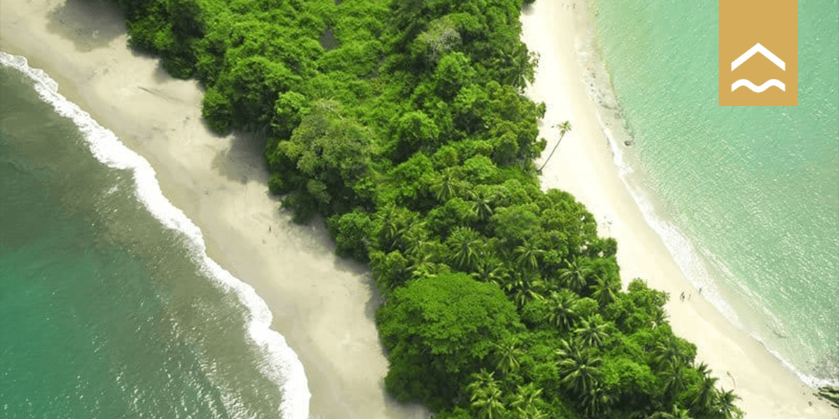 Why Green Season Is the Best Time to Book a Luxury Villa in Costa Rica