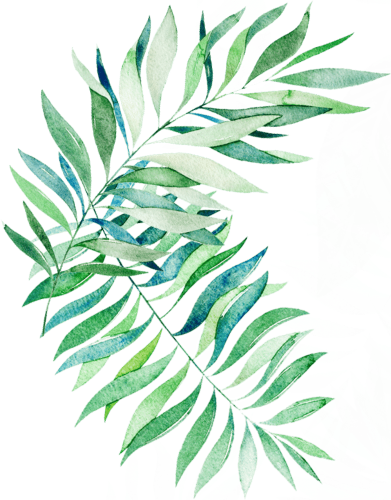 background leaf left
