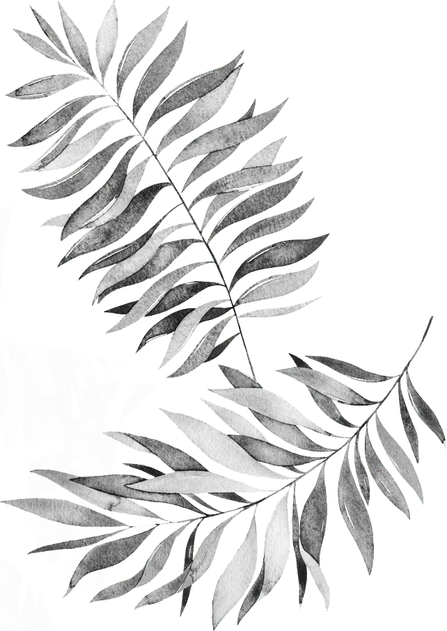 background leaf right