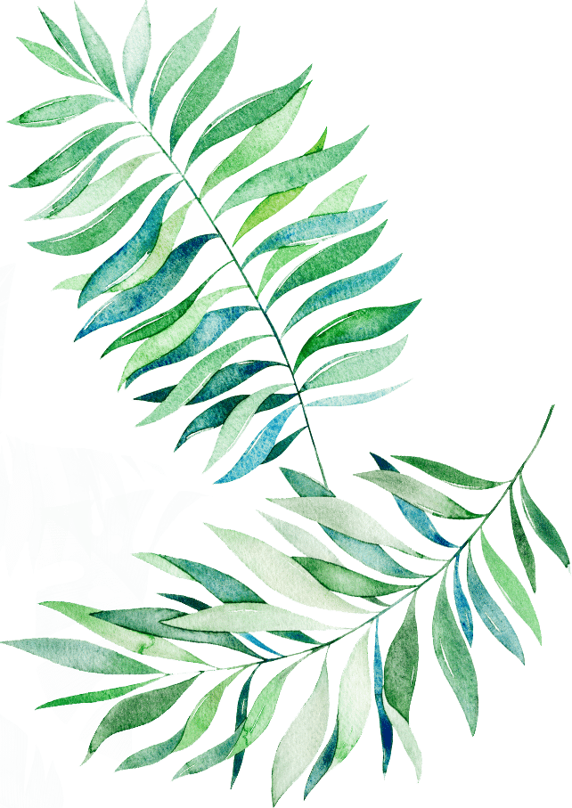 background leaf right