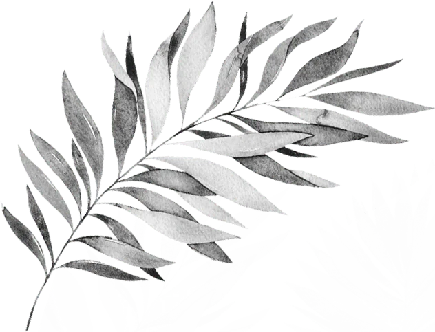 background leaf left