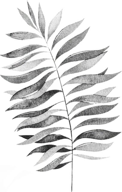 background leaf right