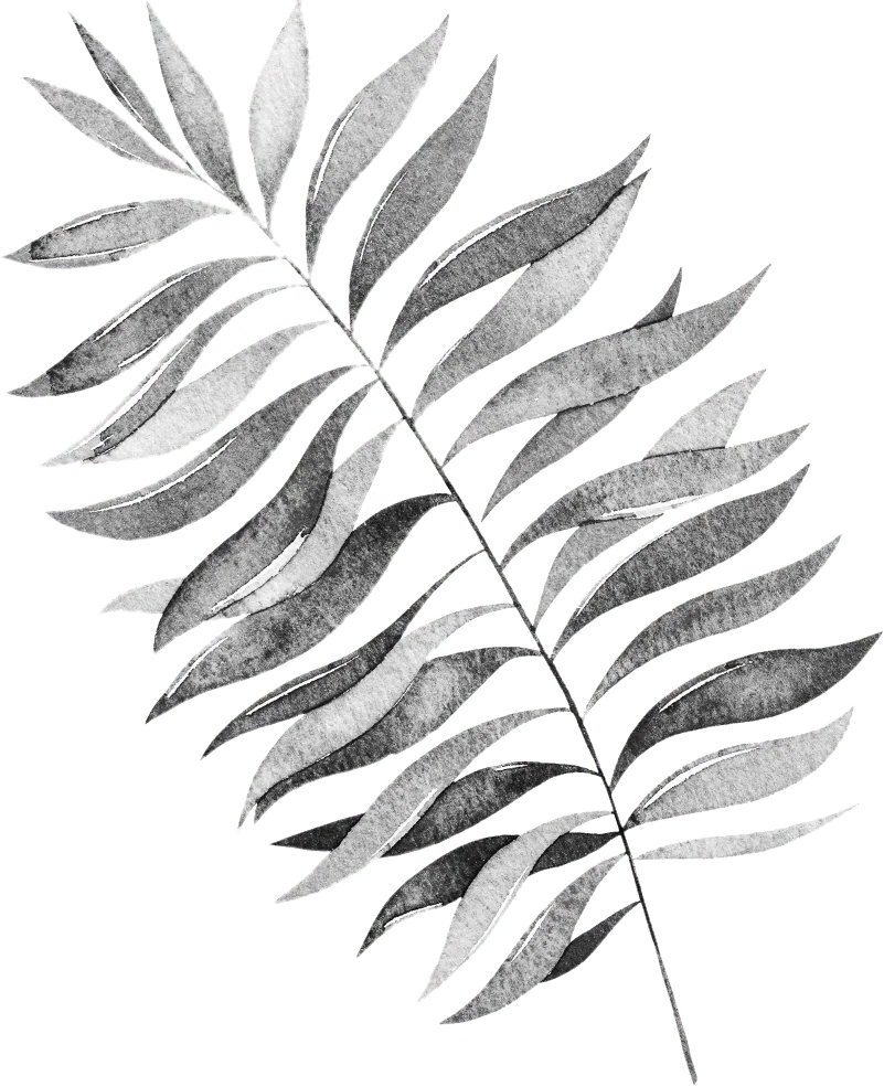 background leaf right